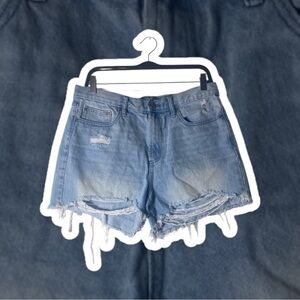 Calvin Klein Jeans Faded Blue Distressed Shorts